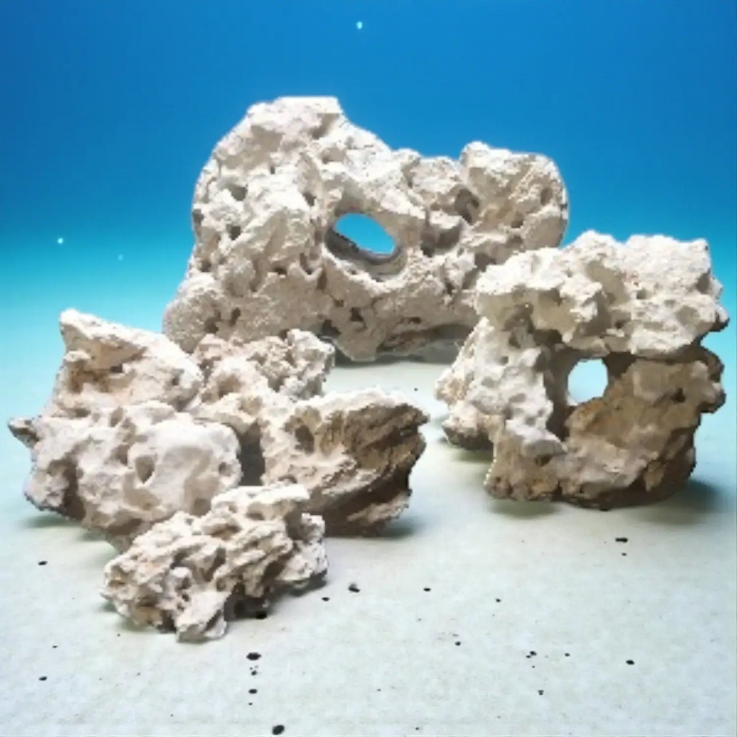 A 20 pound group of Limestone Rocks for an aquarium with a blue background