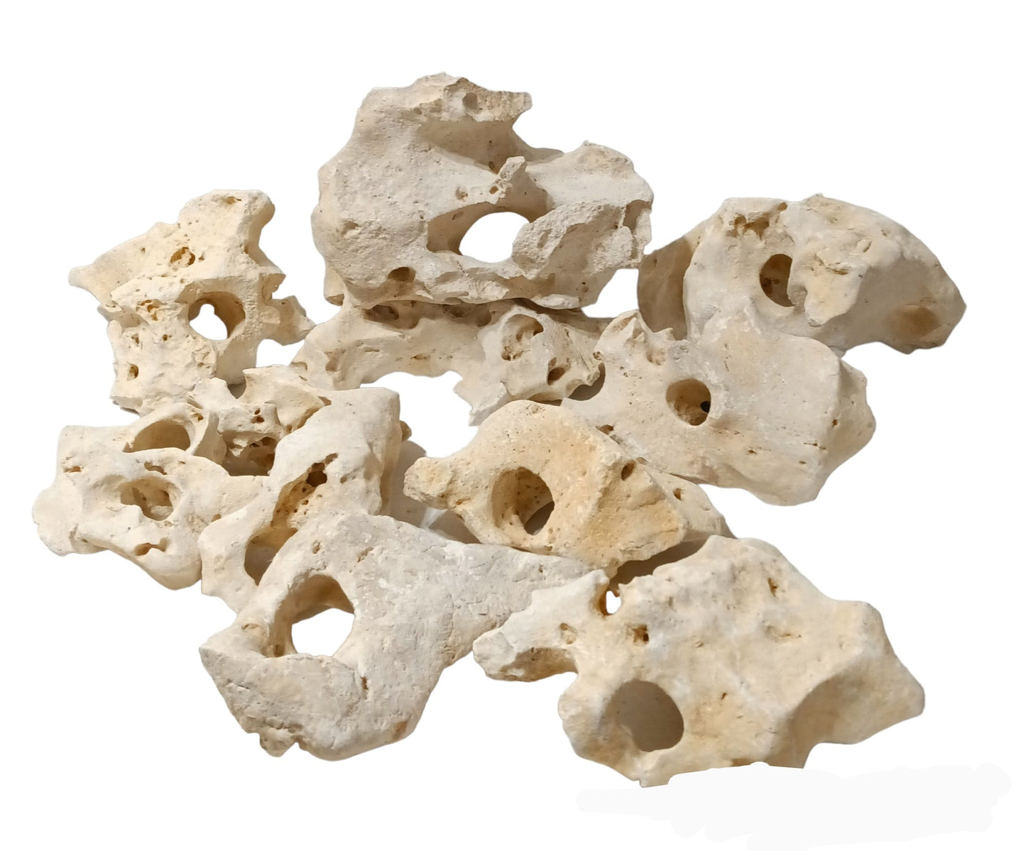 A group of small and medium size Texas Holey Rocks on a white background
