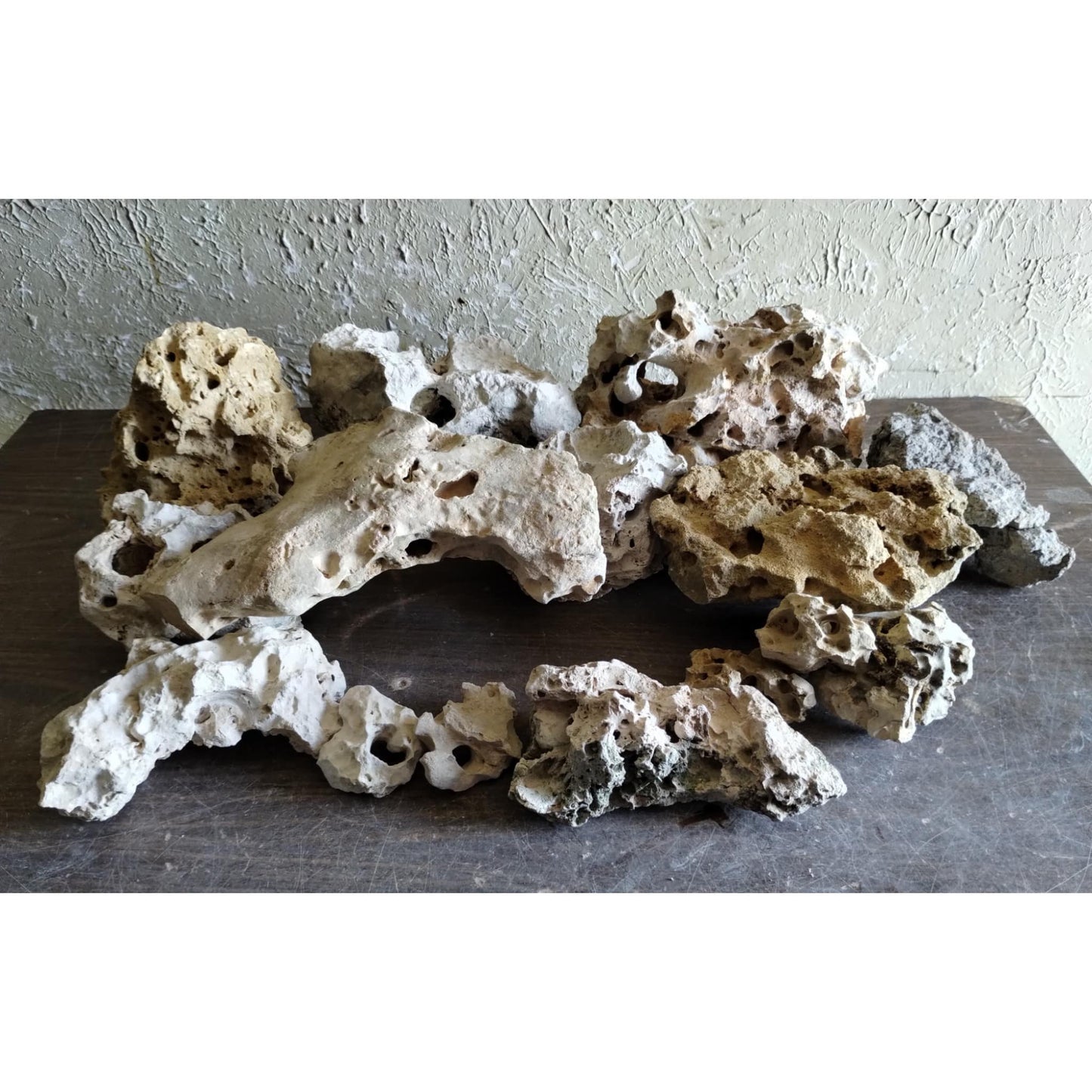 60 pounds of Texas Holey Rock for Cichlid Fish Tank on display