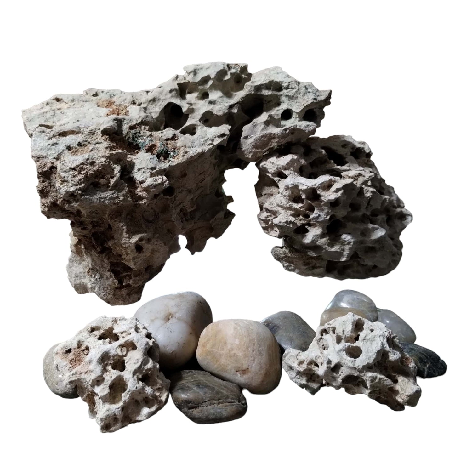An Aquarium Rock Setup on Display