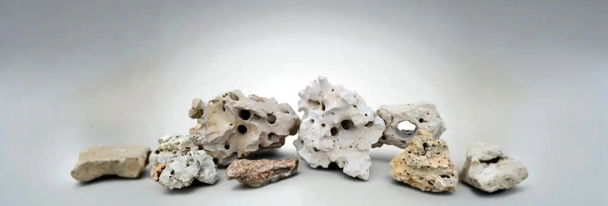 Decorative Texas Holey Rocks on a gray background.