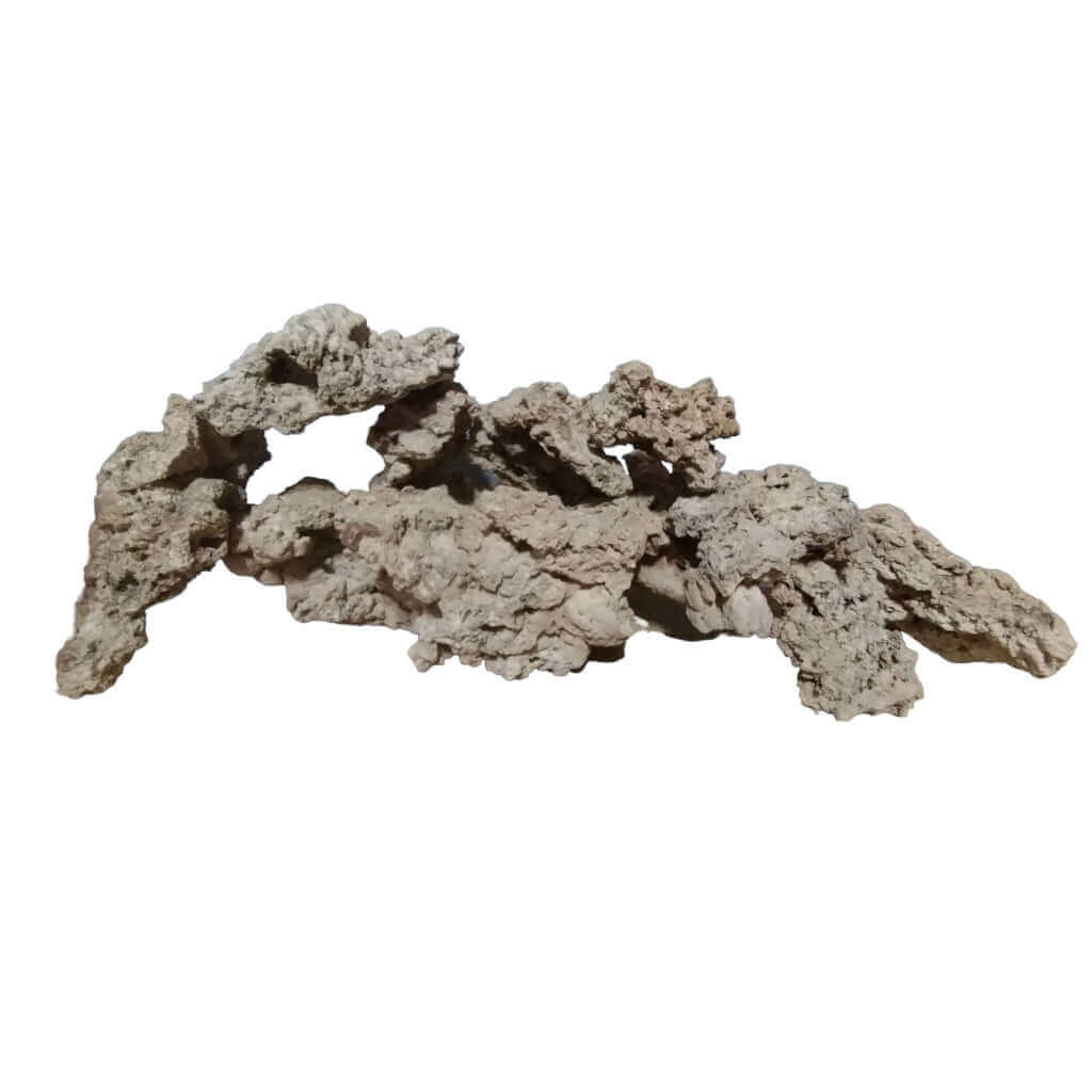 Aquarium Dry Reef Rock | Texas state aquarium store