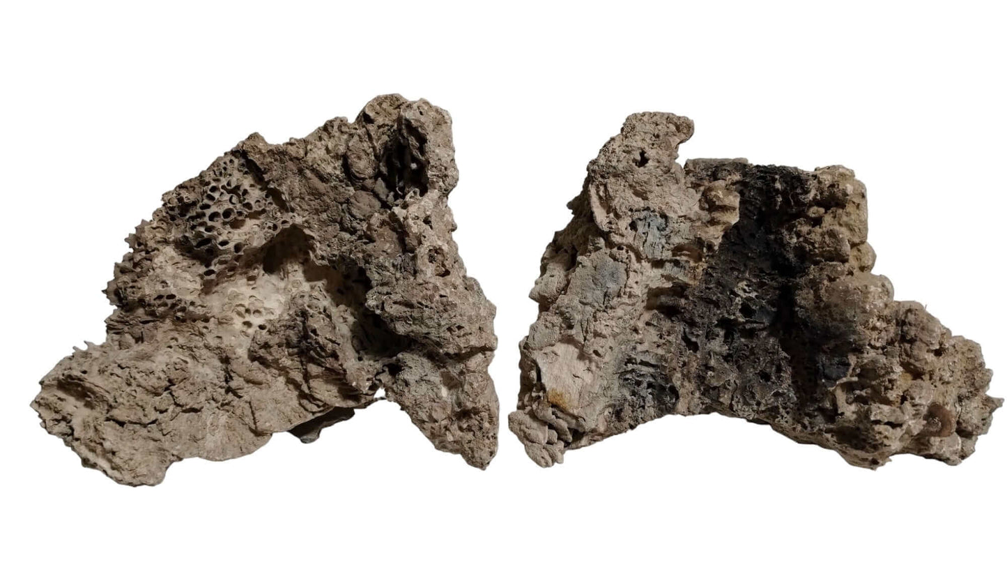 Display of two Dry Reef Rocks for Fish Tanks