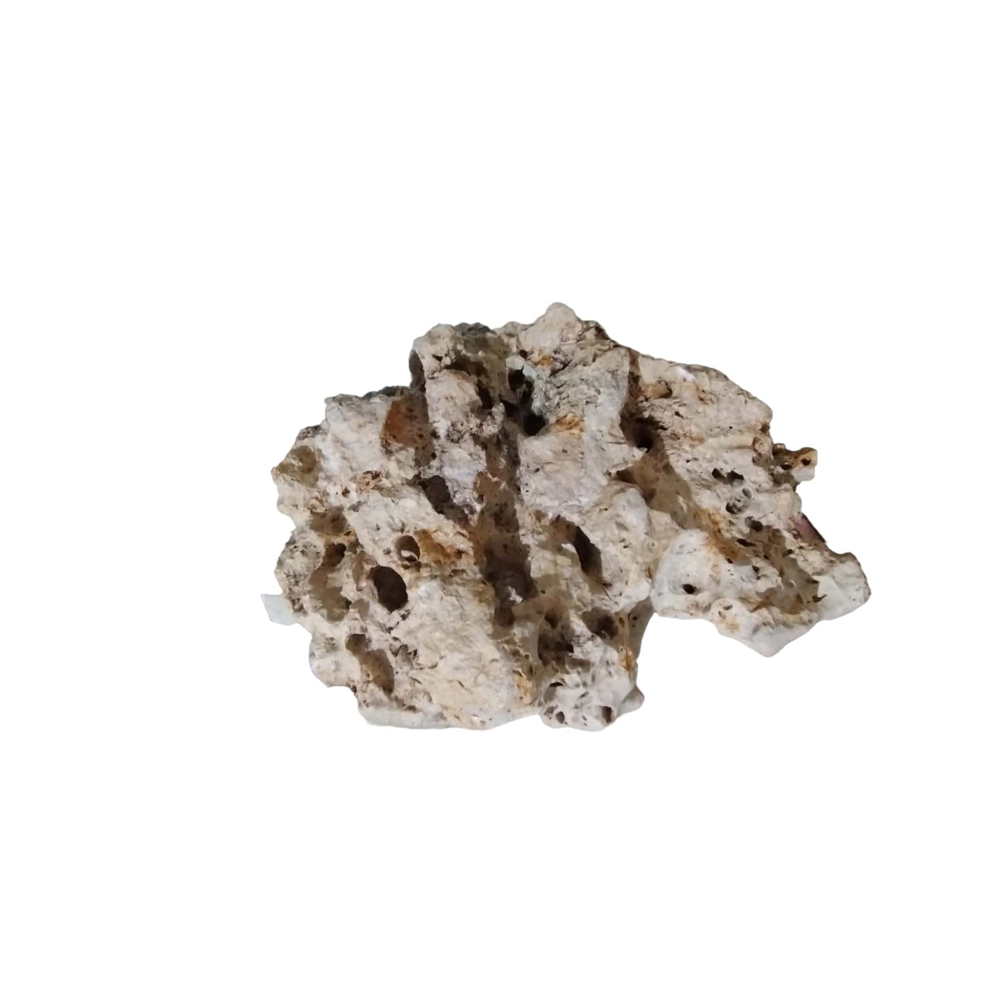 Back side view of a large Texas Holey Rock for a fish tank.