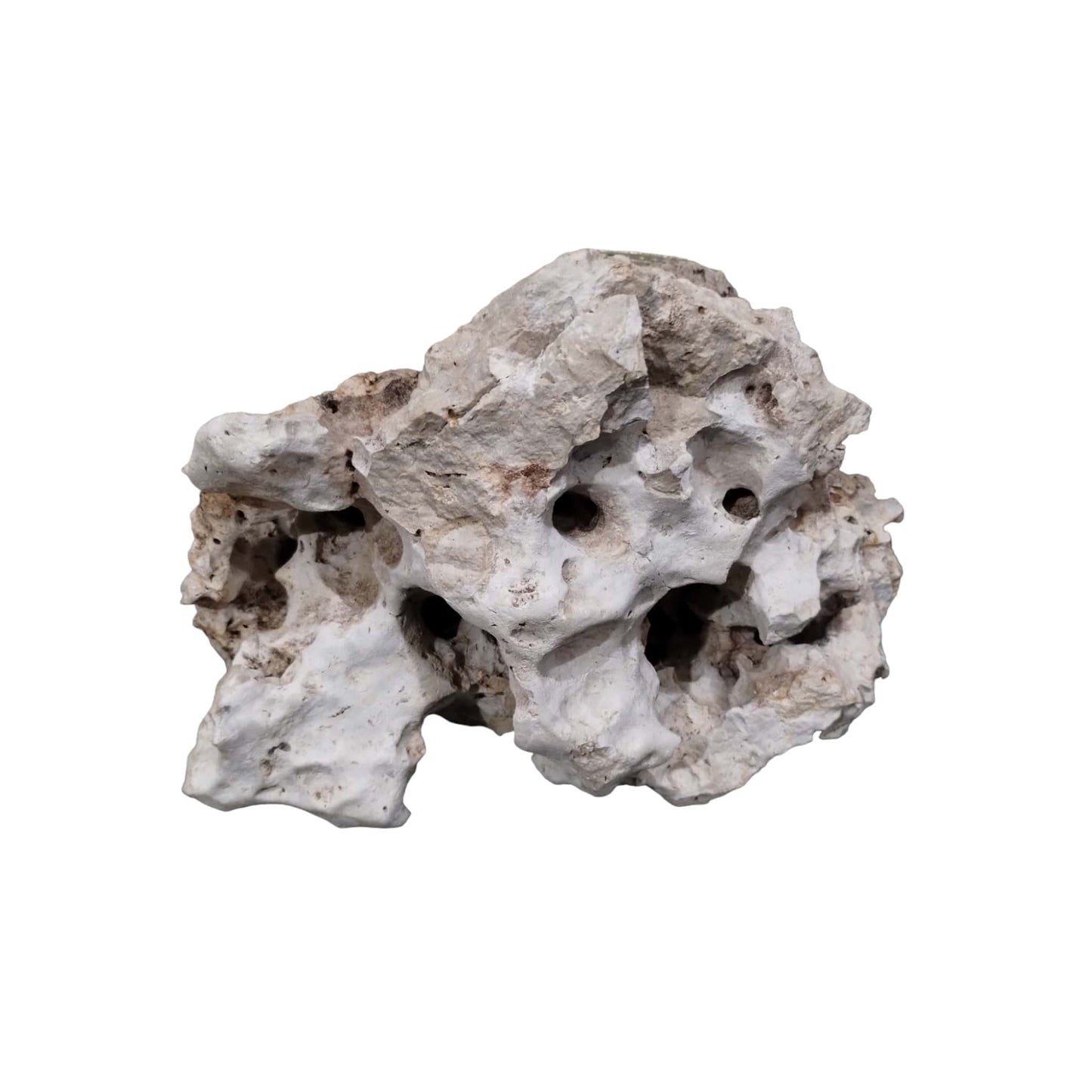 A big round Texas Holey Rock boulder for a fish tank