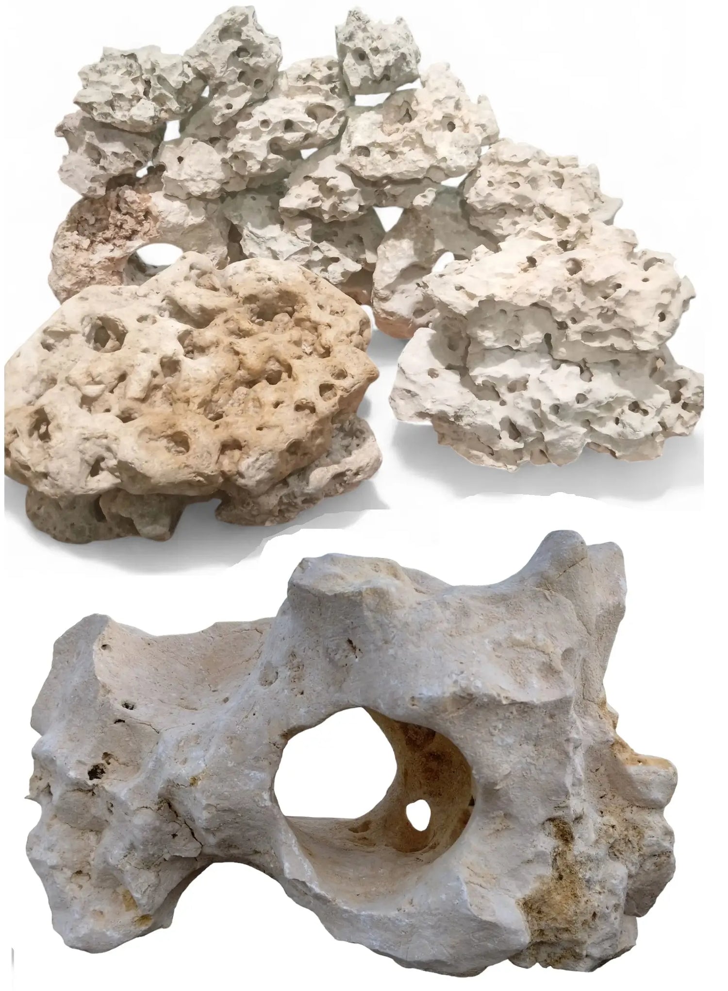 Decorative Limestone rocks for home aquariums on a white background
