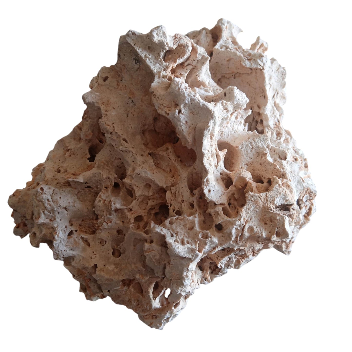 Part of a Holey Rock bundle, a large accent piece, n display