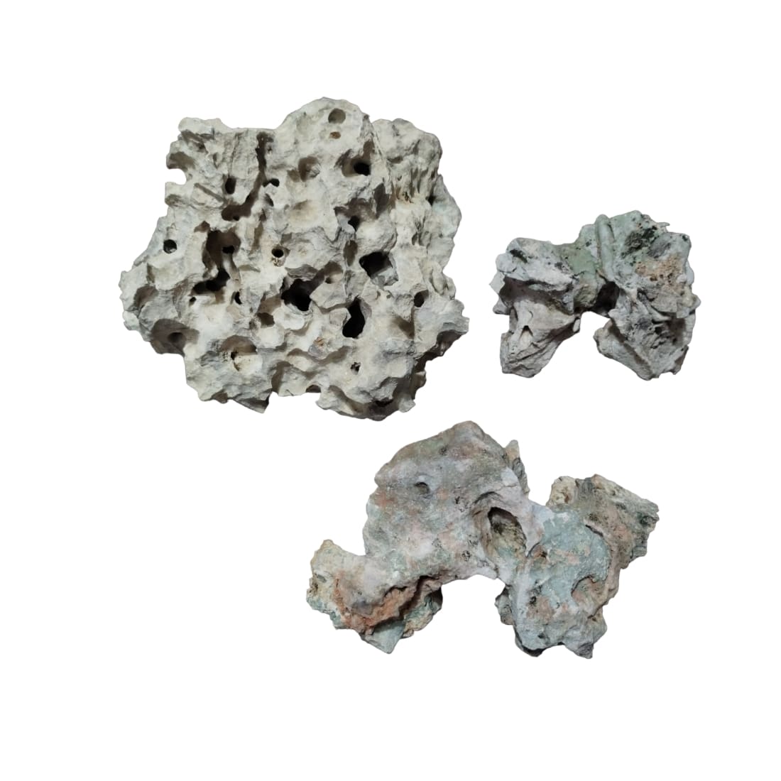 20 pounds of Texas Holey Rock for a Fish Aquarium on display