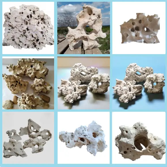 A collage of Texas Limestone Holey Rocks for Aquariums that are on sale now