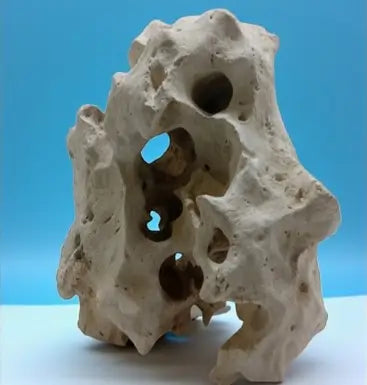 A Texas Holey Rock centerpiece for fish tank setup