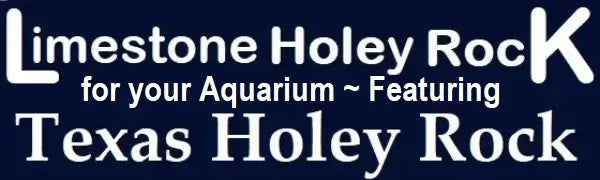 Advertisement for Limestone Holey Rock for aquariums featuring Texas Holey Rock on a blue background.