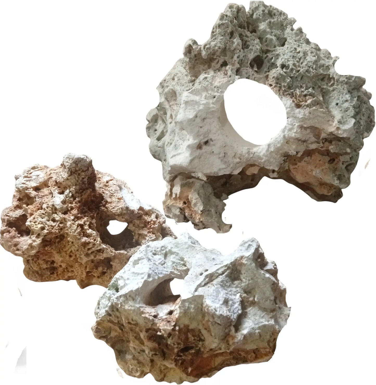 A group of Limestone Aquarium rocks with a white background