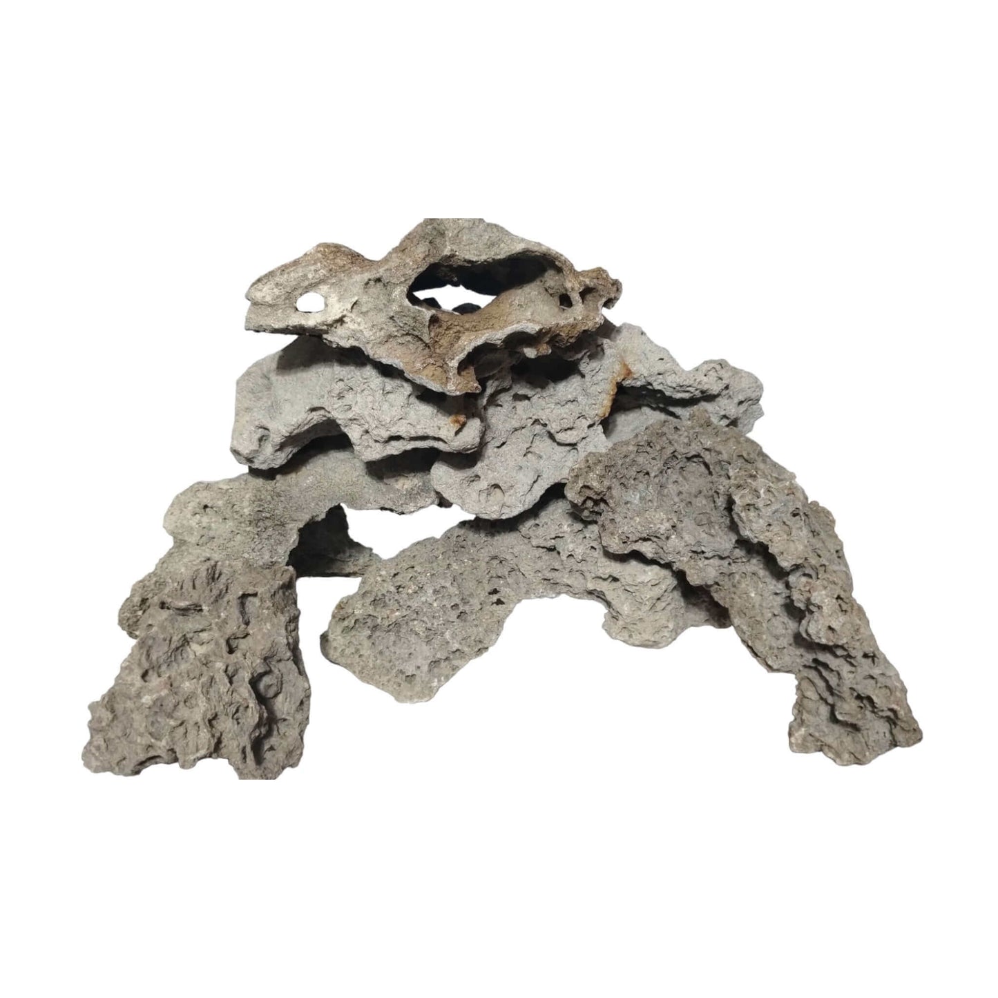 A large Lace Rock for Aa fish tank displayed on a white background.