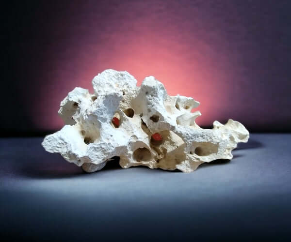 Limestone holey rock - Limestone Holey Rock