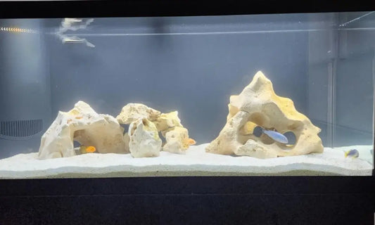 white-aquarium rocks on white sand inside a fish tank.