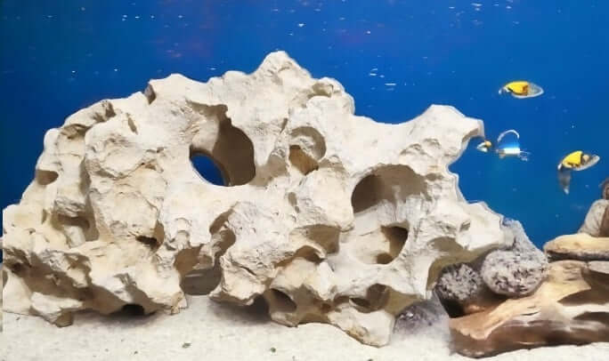 Texas Holey Rock inside a fish Aquarium