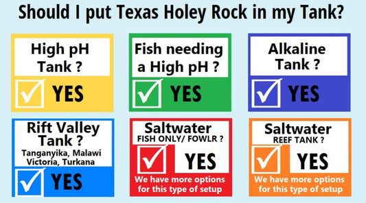 A banner with text displaying different types of aquatic setups.