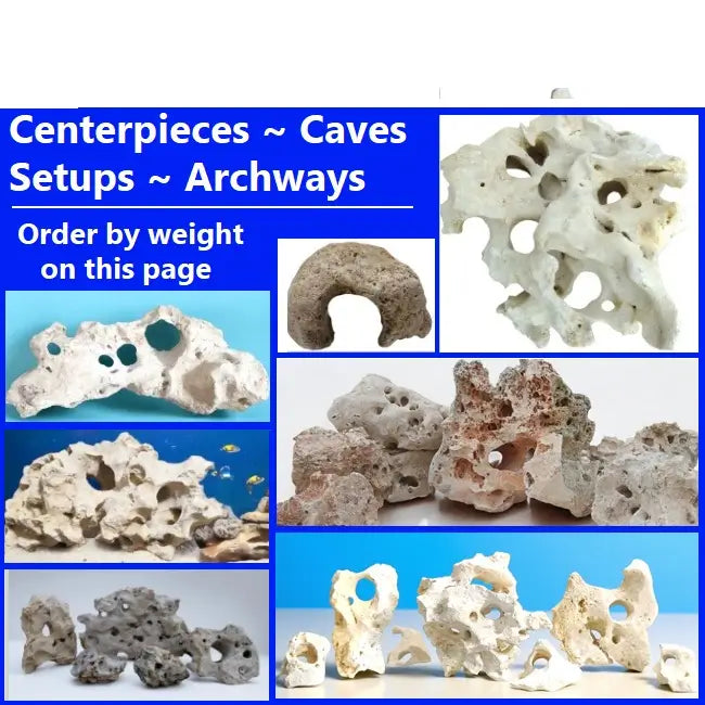 A collage of the Texas Holey Rock Collection at Limestone Holey Rock