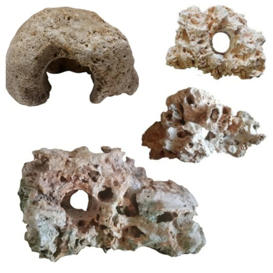 A Texas Holey Rock, 20 lb. kit on display