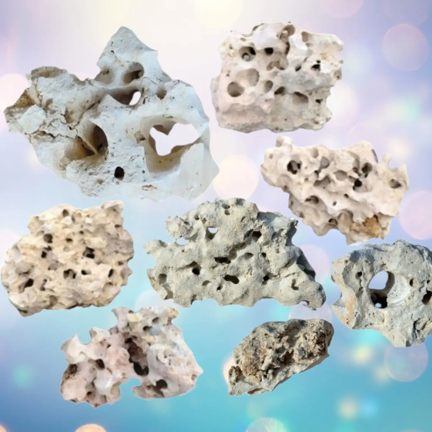 20 pounds of white Texas Holey Rock displayed on a gradient background