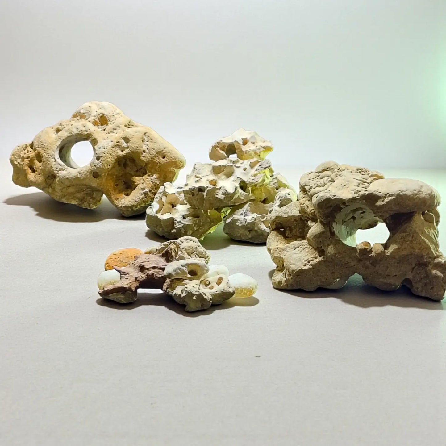 Decorative Limestone rocks on a light gray background