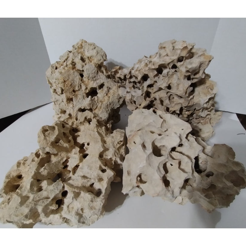 Limestone Holey Rock - Residential & Commercial