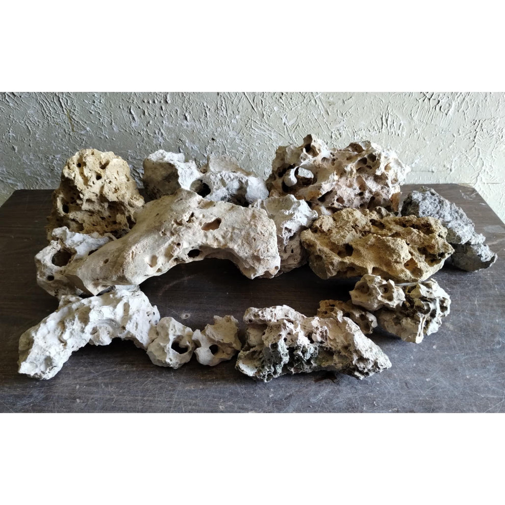 Texas Holey Rock Archway Fish Tank Decor