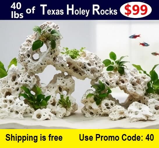 Decorative aquarium rocks with plants on a white background, priced at $99 for 40 lbs.