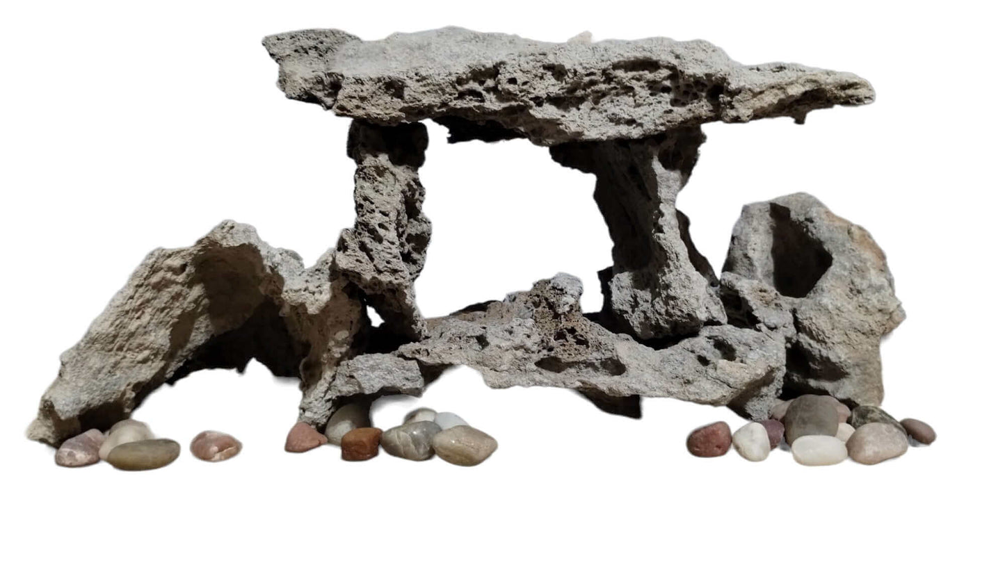 Display of Lace Rock for an Aquarium on a white background.