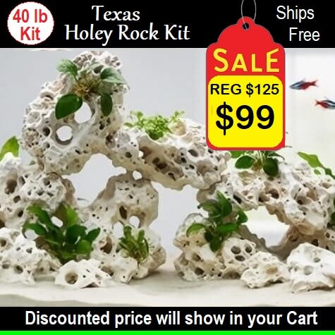 Texas Holey Rock Kit with decorative rocks and plants, sale tag displayed.