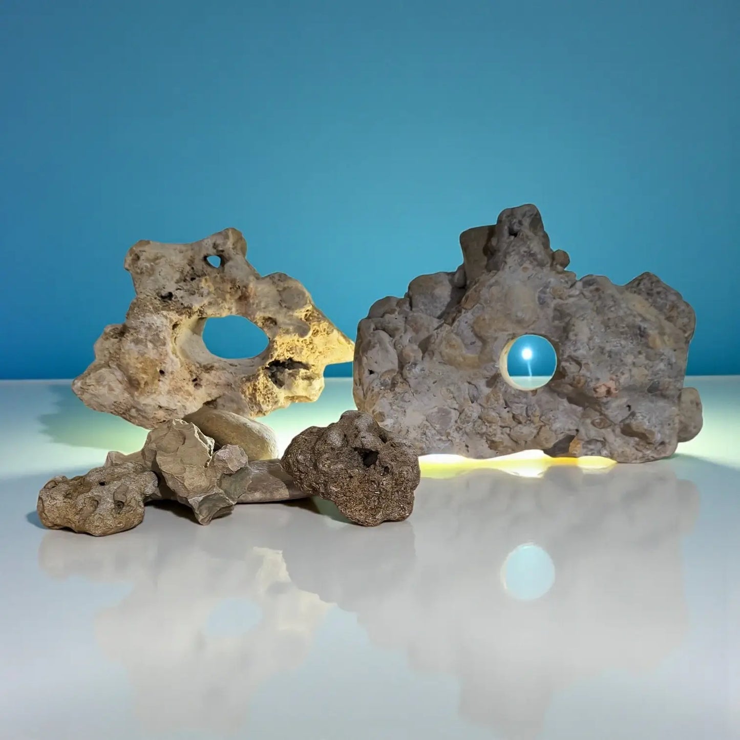 Aquarium rocks with holes sitting on a white surface with a blue backround
