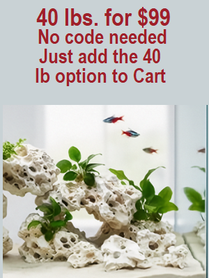 An aquarium setup with white porous coral rocks, green plants, and small red and blue fish, with overlaid red text at the top reading '40 lbs. for $99 No code needed Just add the 40 lb option to Cart'.