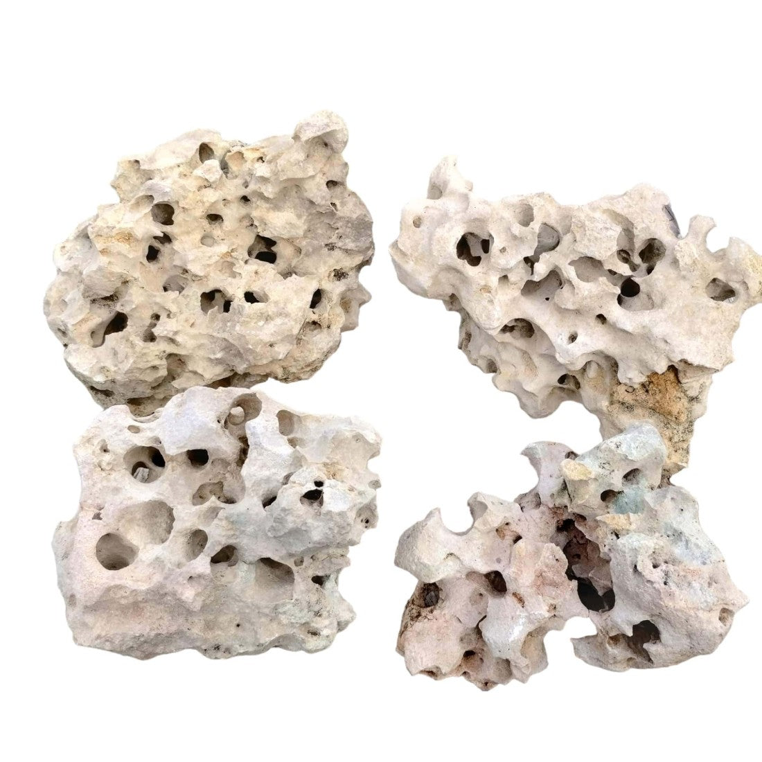 Texas Holey Rock by the Pound – Limestone Holey Rock