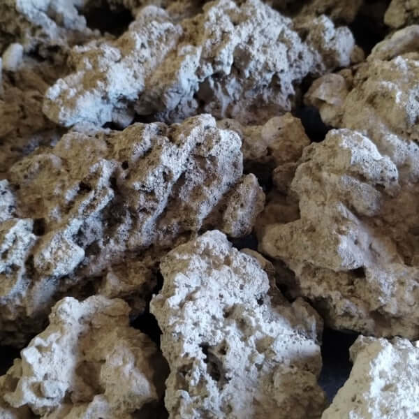 Dry Live Rock for creating a Reef Tank