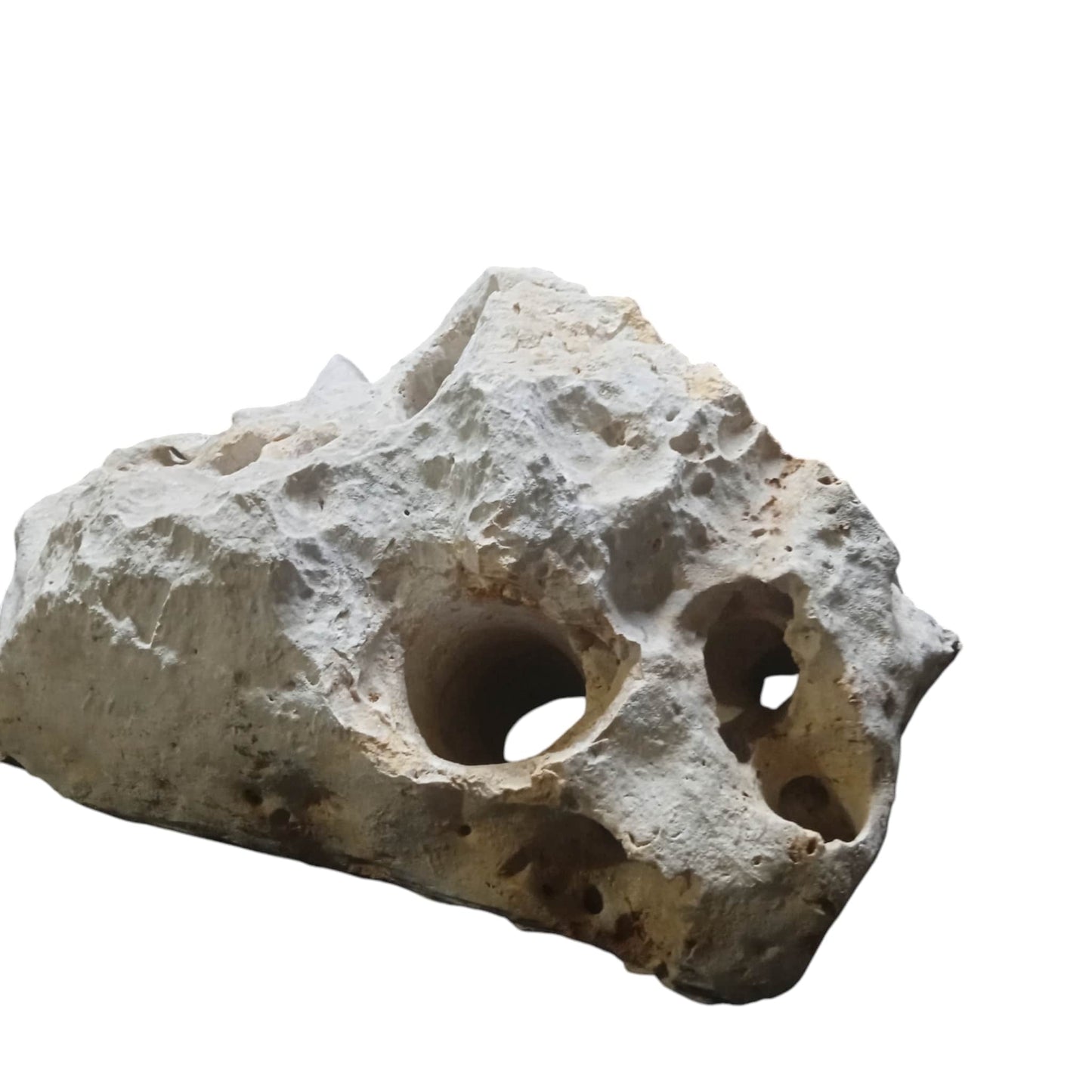 Shop for Texas Holey Rock Displays for Your Aquarium Now – Limestone ...