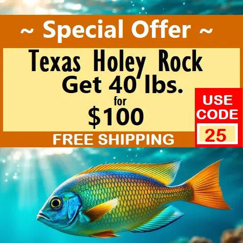 Advertisement for Texas Holey Rock with a fish and special offer details.