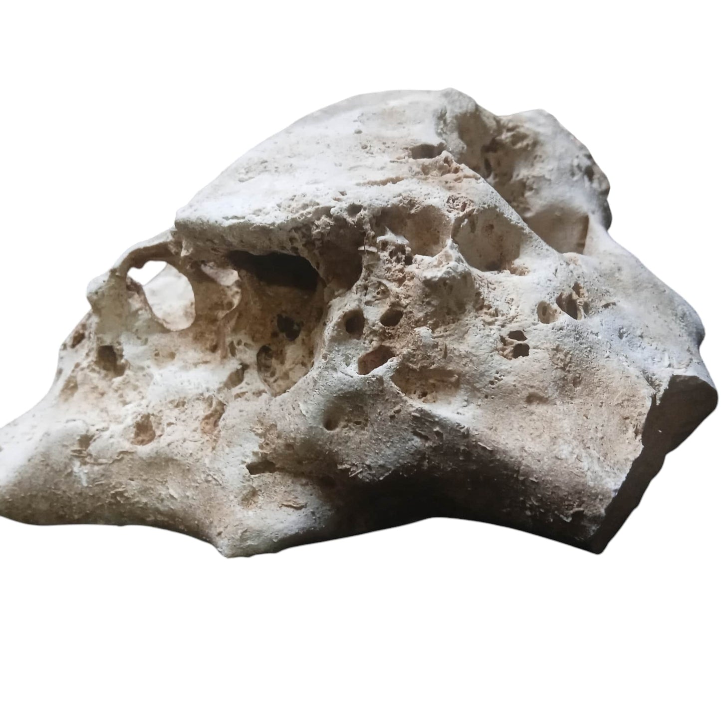 A unique rock for an Aquarium