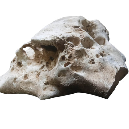 A unique rock for an Aquarium