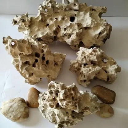 A group of Limestone Rocks for Cichlid fish on a white background.
