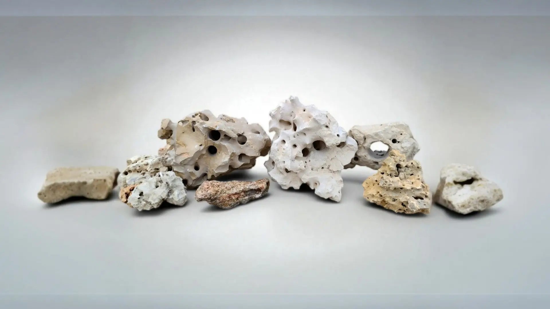 A group of Texas Holey Rocks for aqauriums set up in a decorative display with a grayish blue background
