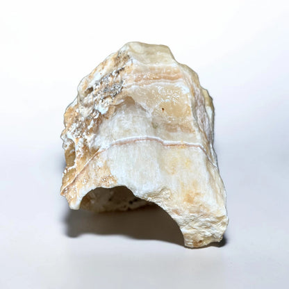 A large tunnel rock for fish aquariums.