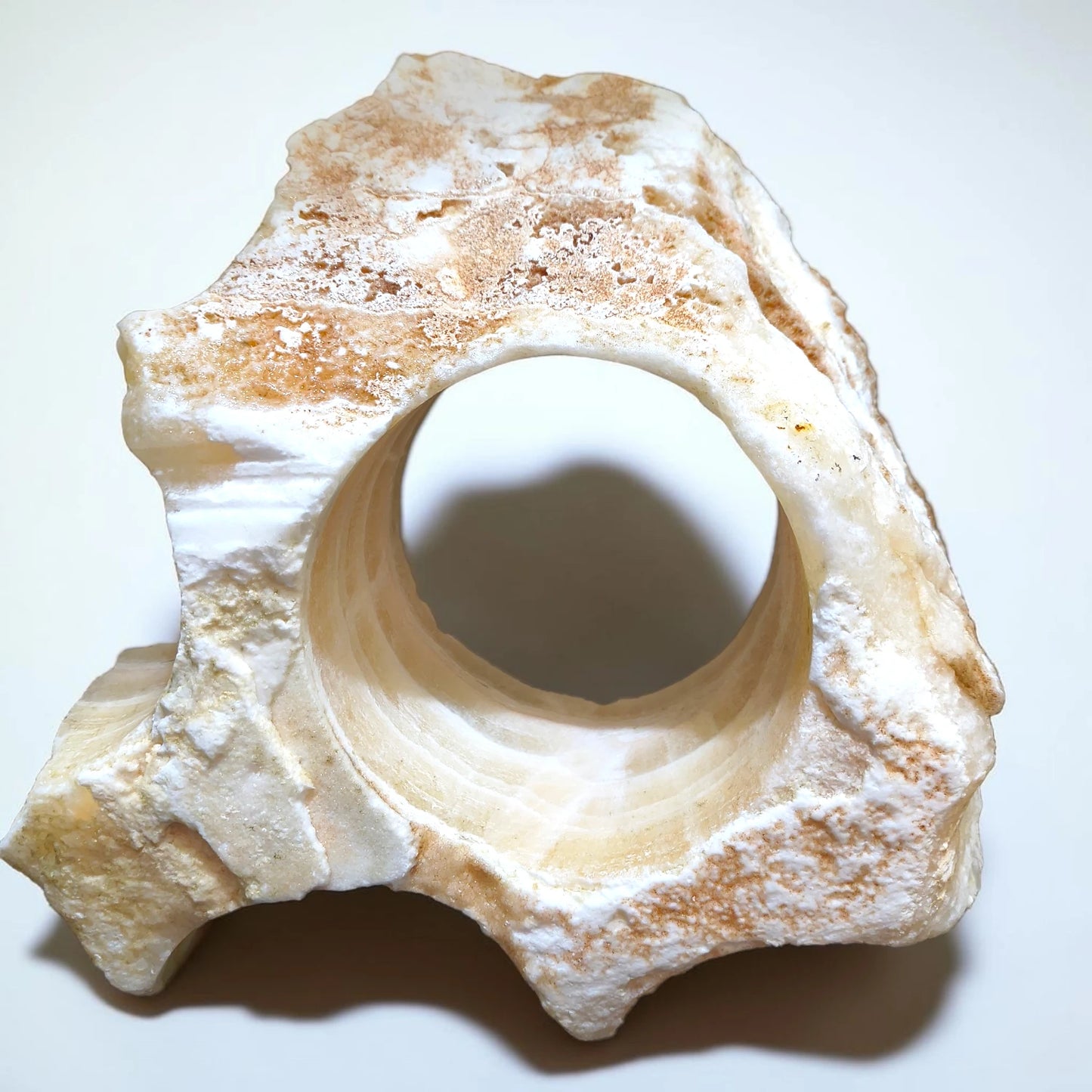A large aquarium rock decoration for cichlid fish tanks.