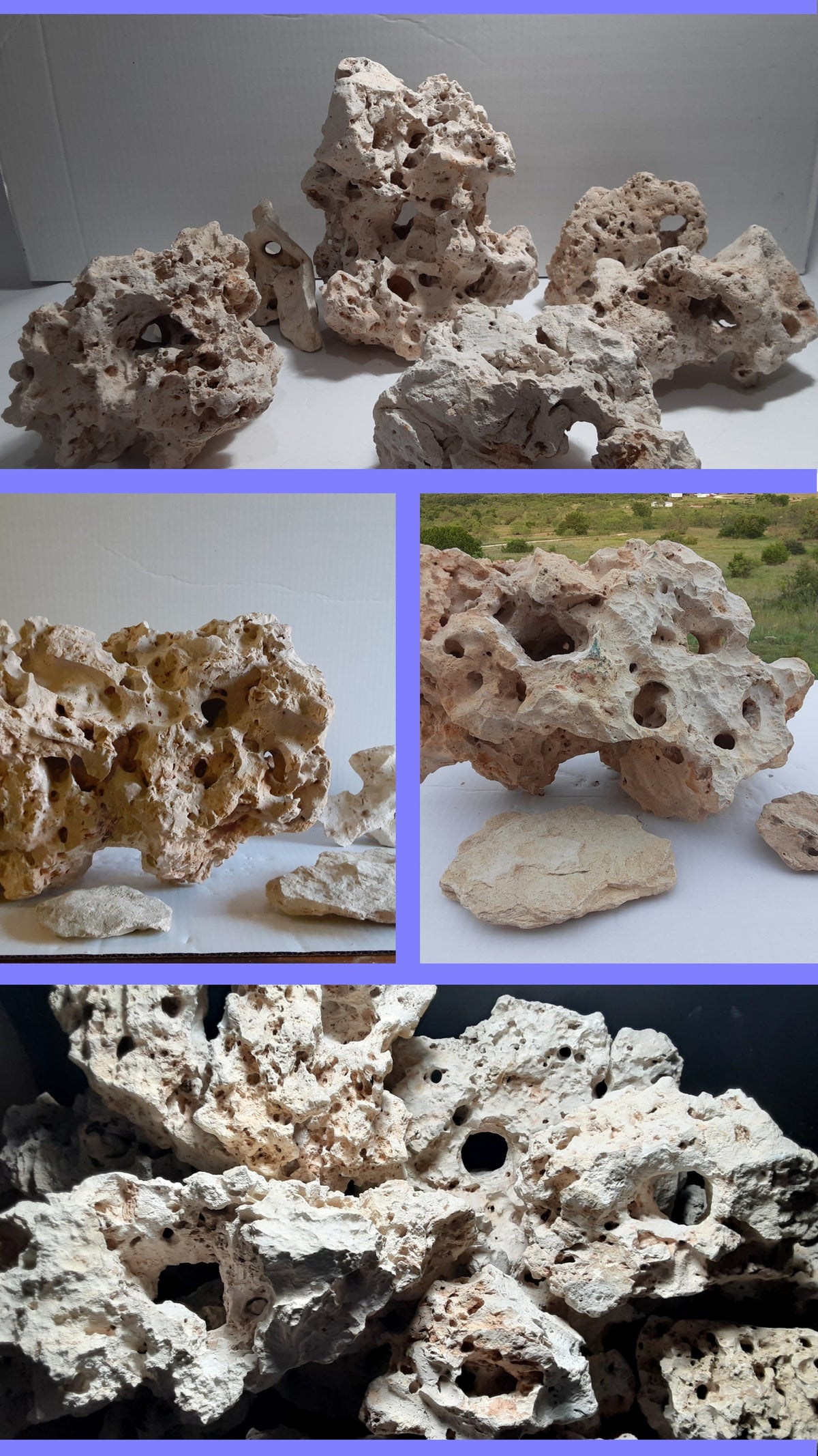 Colli Rocks Limestone Holey Rock -Aquarium Rock Store