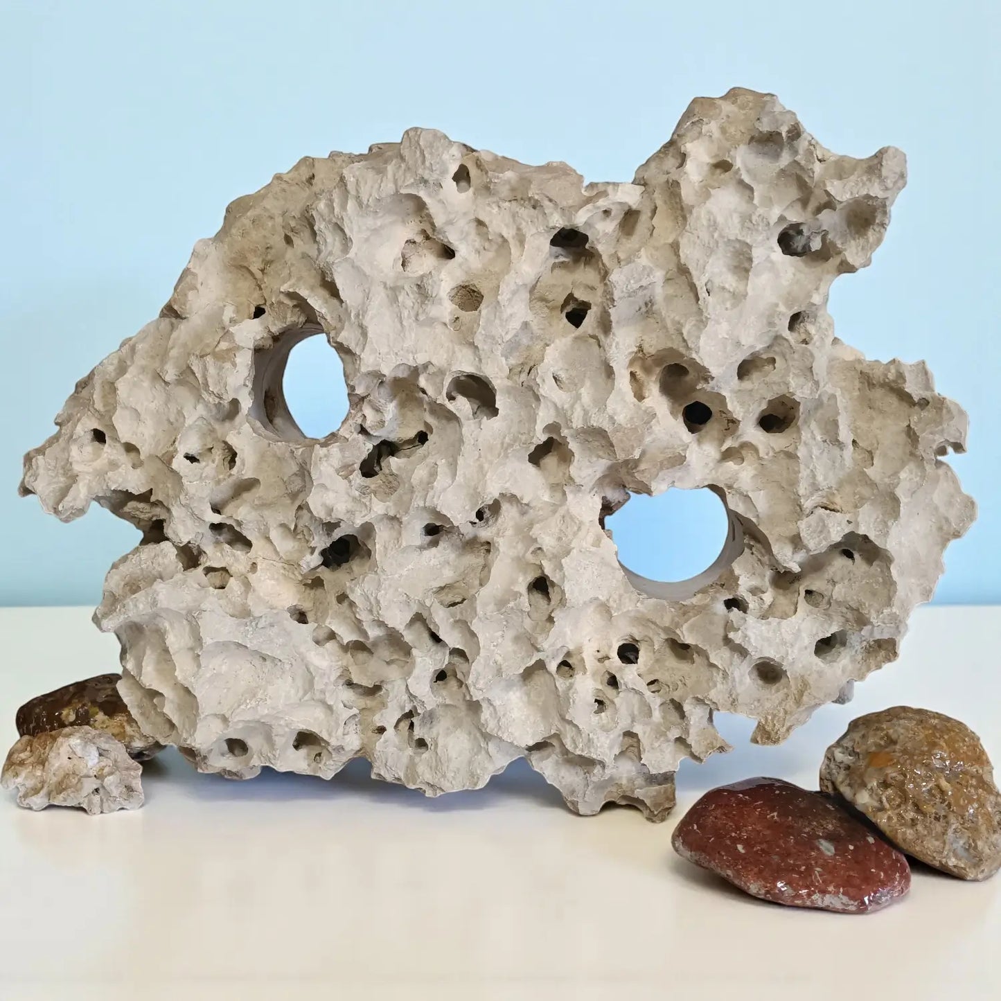 Decorative Aquarium rock with holes on a light blue background