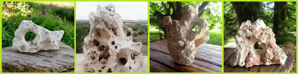 A collection of large Texas Holey Rock centerpieces with an outdoor scenic background for each piece