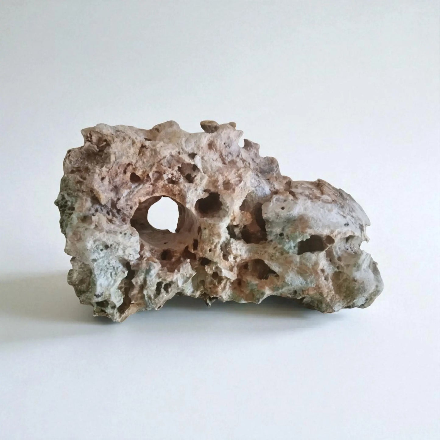 Decorative rock for an aquarium on a white background
