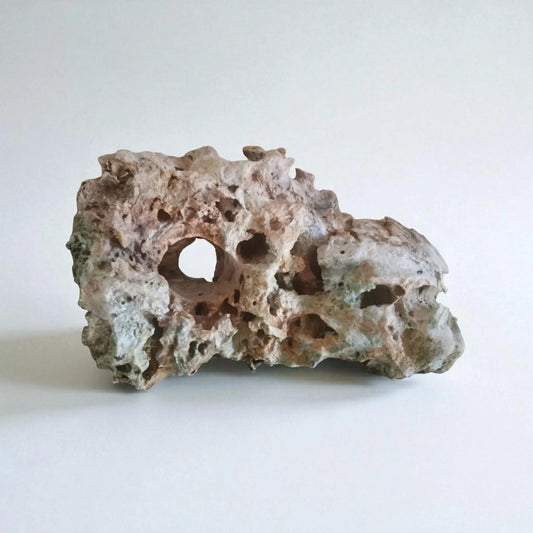 Decorative rock for an aquarium on a white background