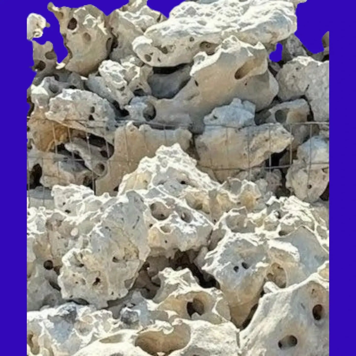 White Texas Limestone Rocks on a bright blue background