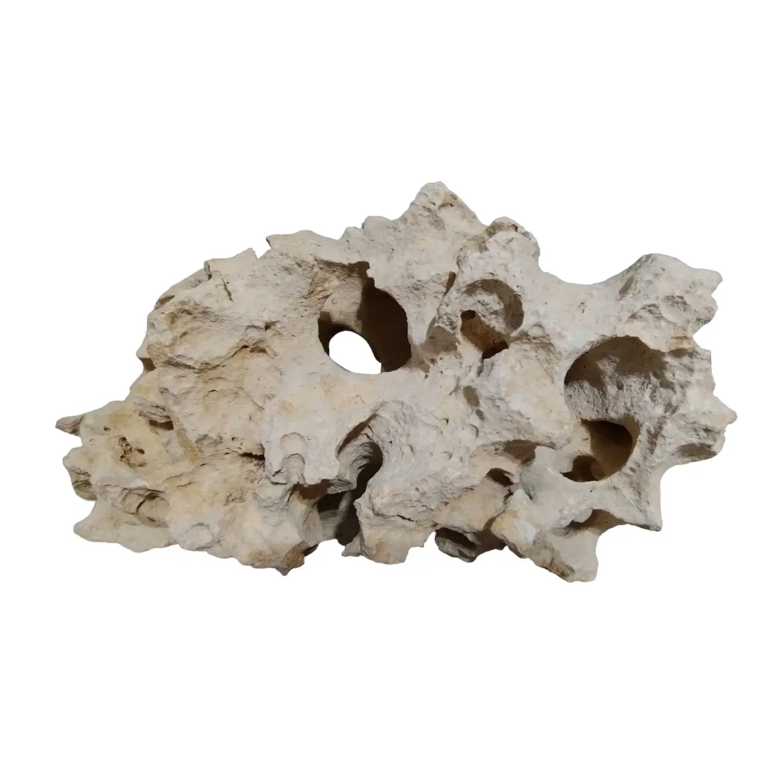 Decorative Texas Holey Rock boulder formation on a white background