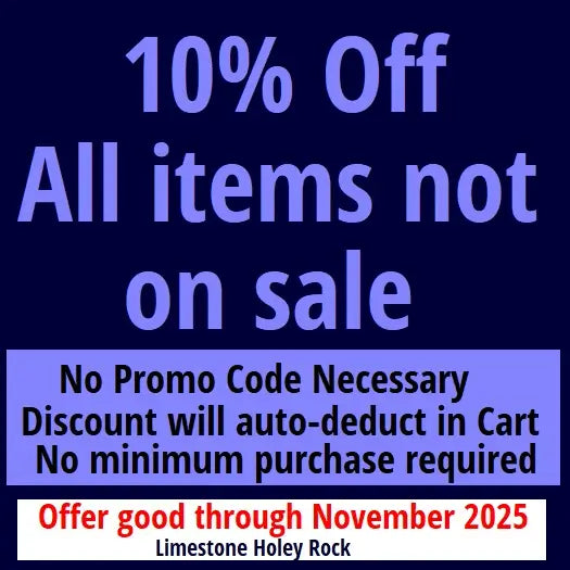 Promotional text offering 10% off all items not on sale with a discount auto-deducting in cart.